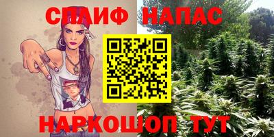 PSILOCYBIN Заводоуковск