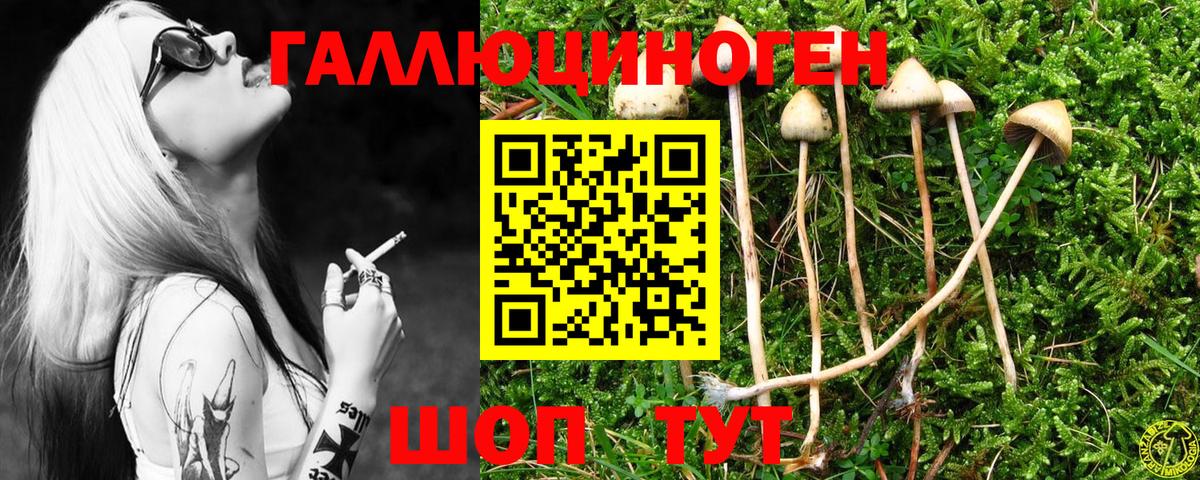 Псилоцибиновые грибы Cubensis Людиново
